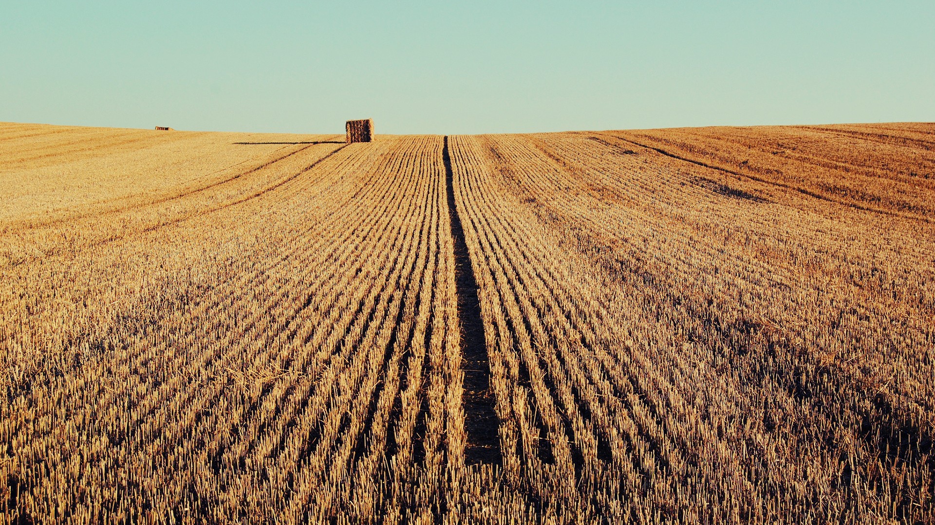 Осень скошенное поле