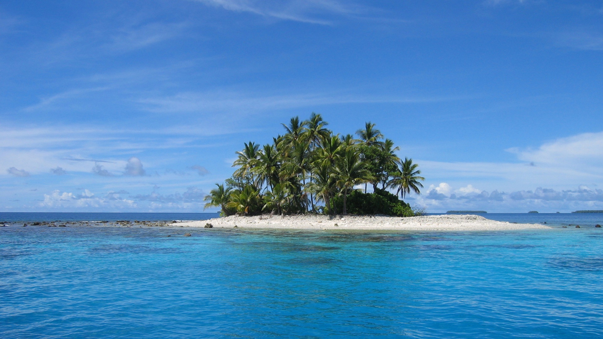 Остров с деревьями