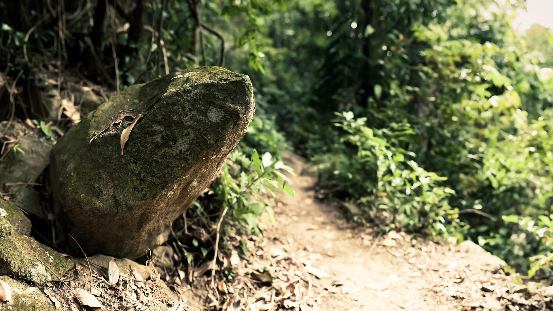 Камень у дороги