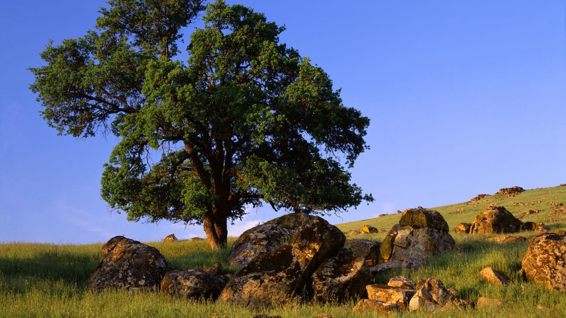 Природа штата Невада