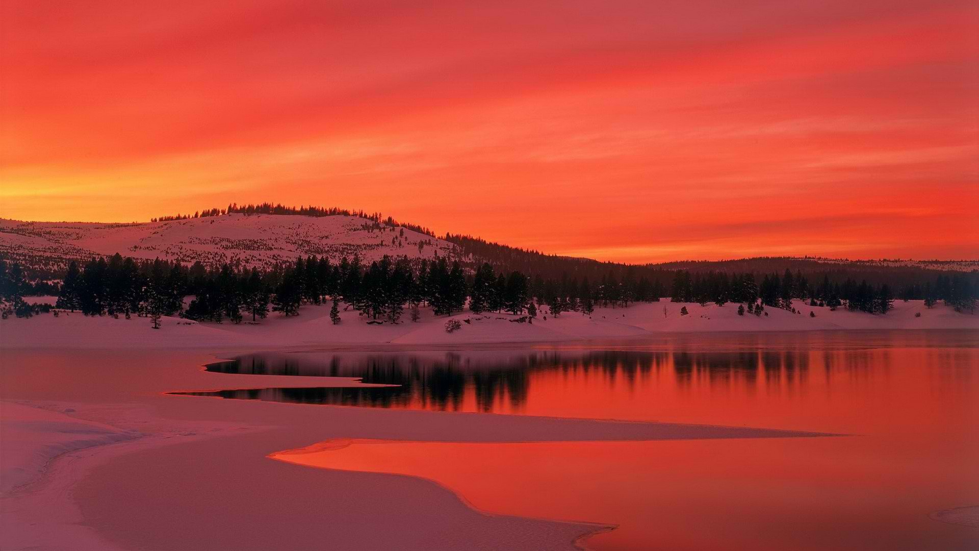 Пейзаж в багровых тонах