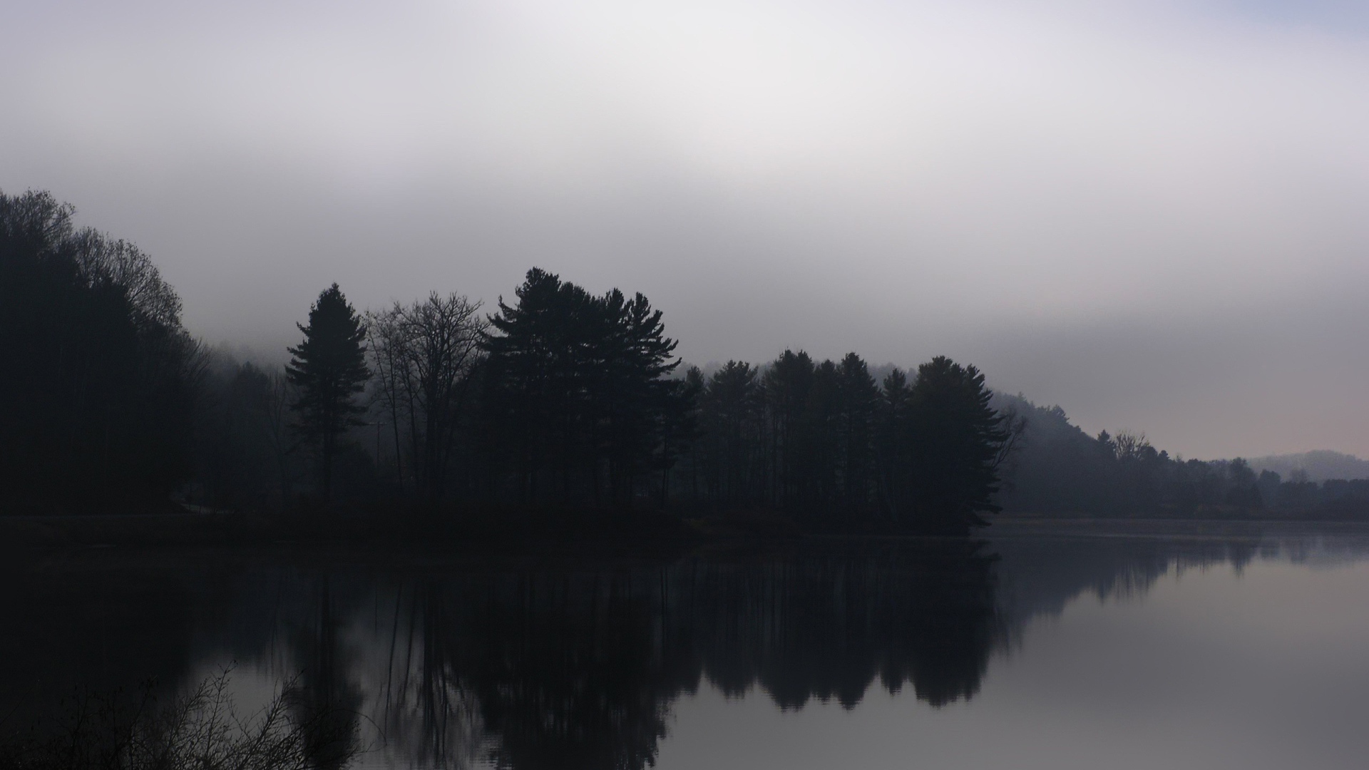 Туманный лес у реки