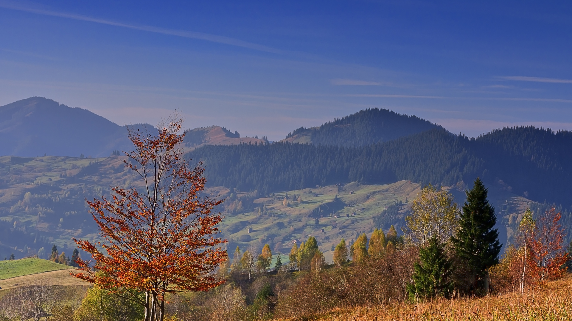 Осенью в Румынии