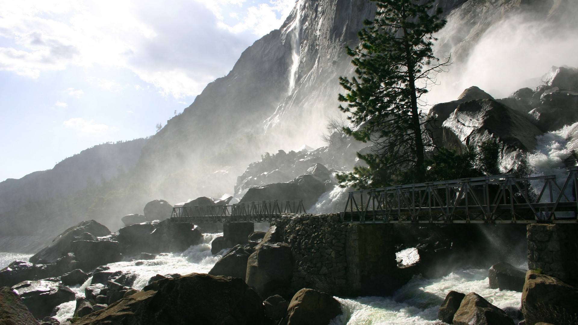 Одинокая сосна у водопада