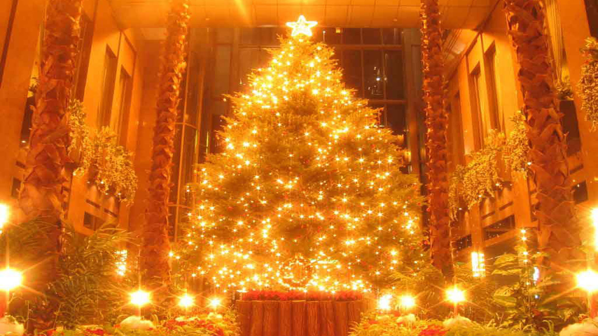 Новогодняя елка в поразительной картине