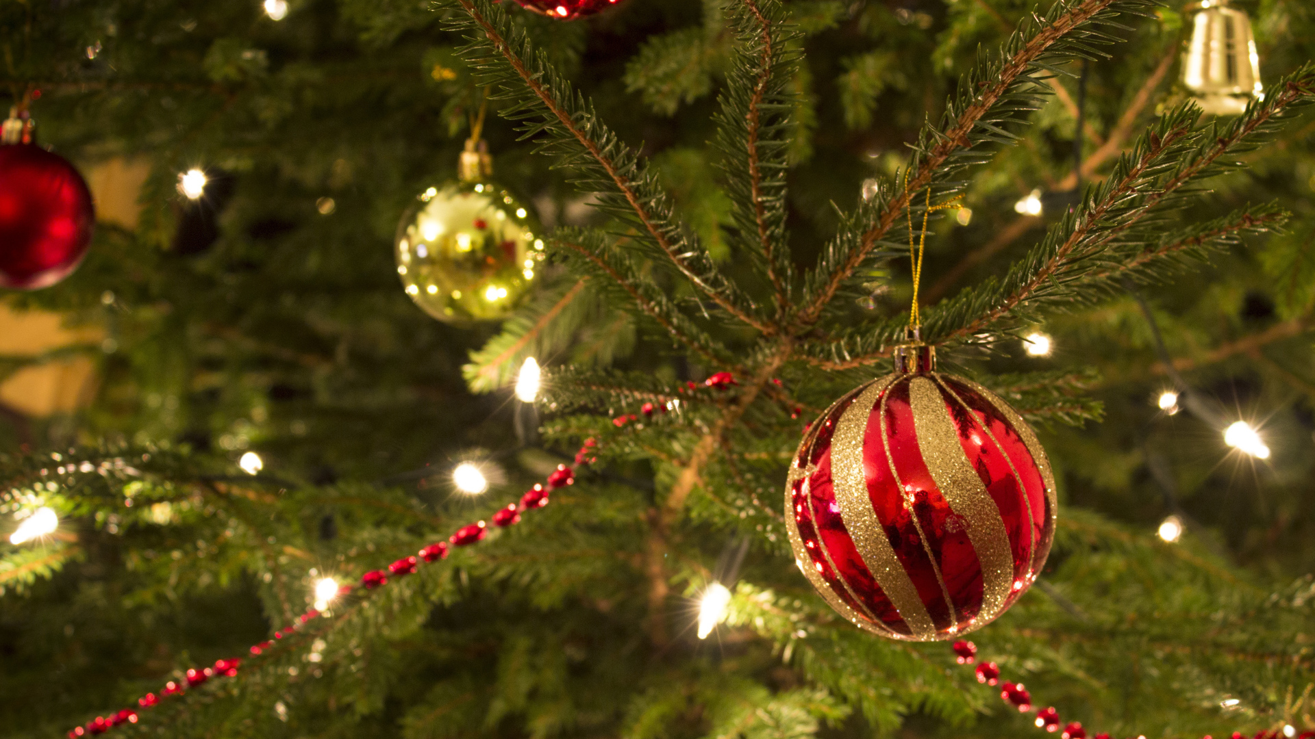 Красная игрушка на новогодней елкe