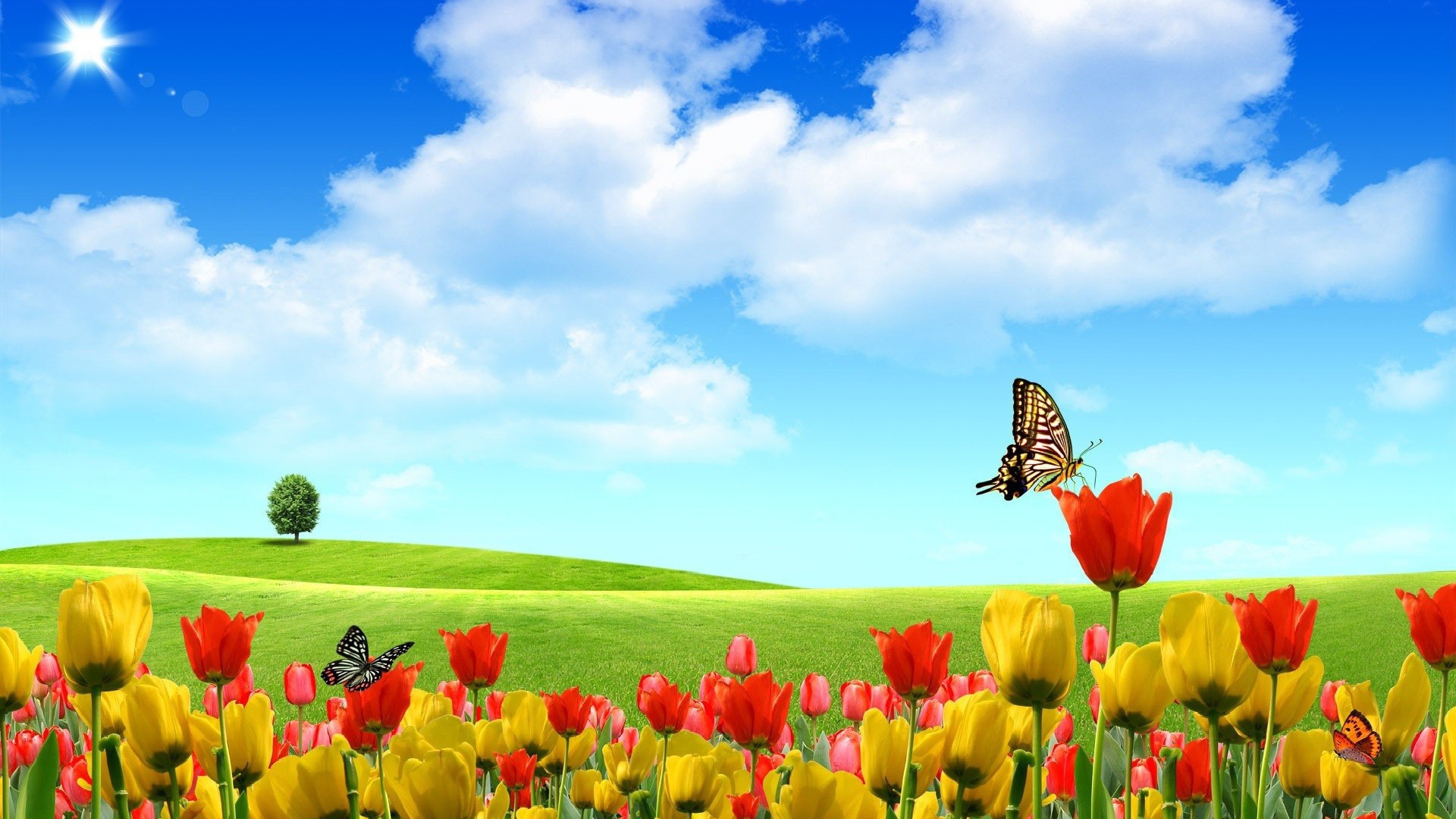 Абстрактные бабочки на тюльпанах