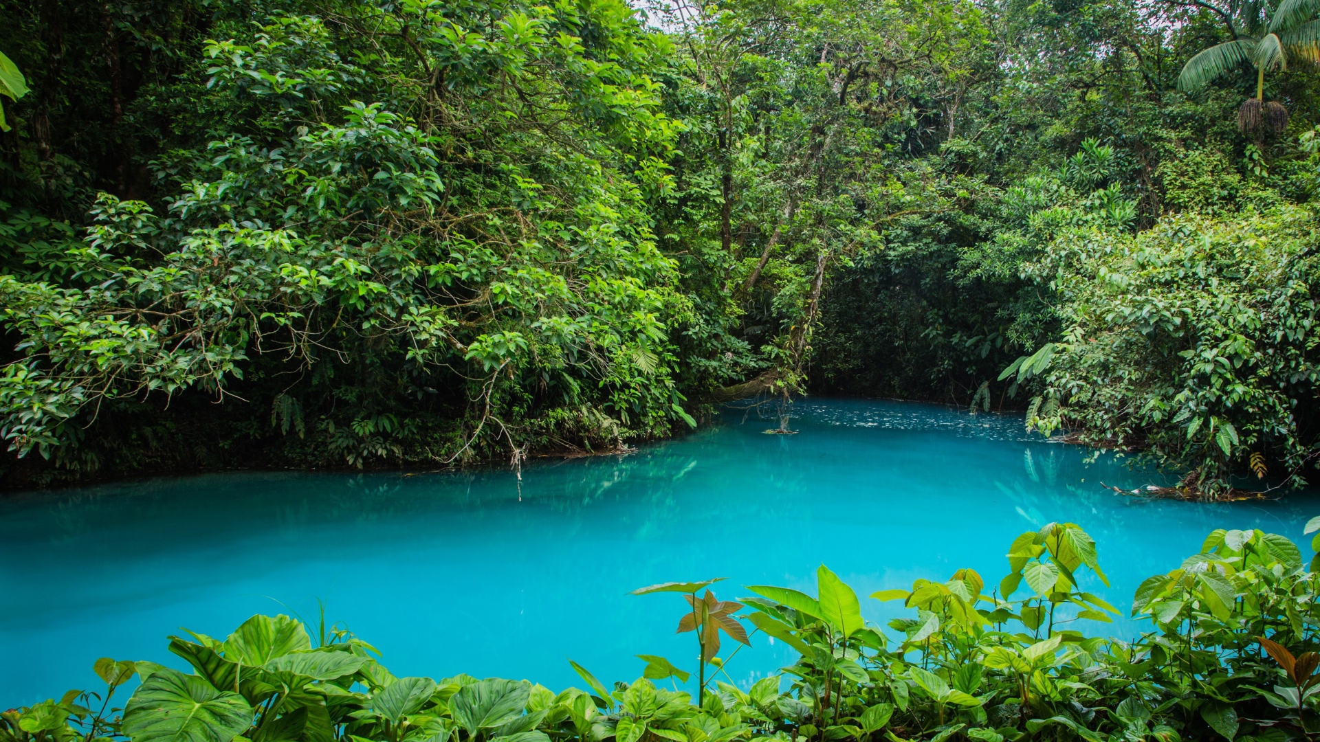 Национальный парк в Коста Рика