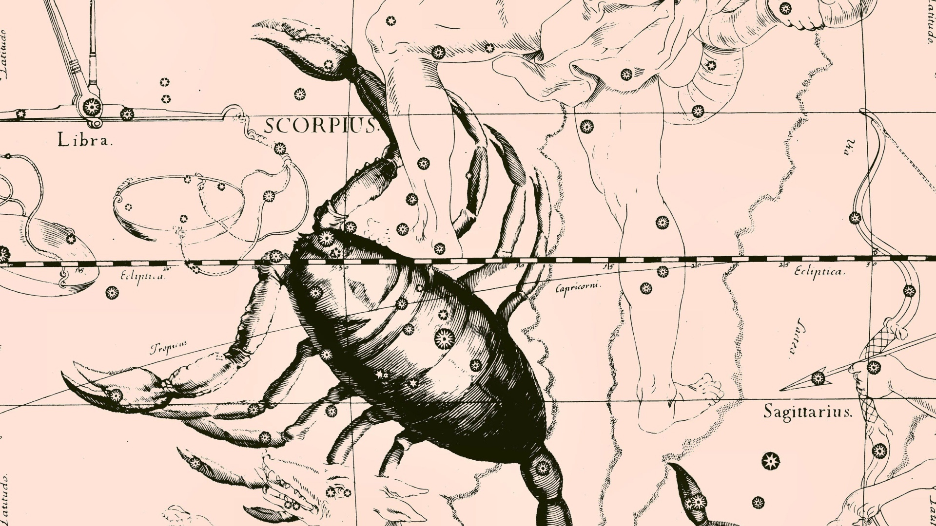 Карта звездного неба, скорпион, розовый цвет