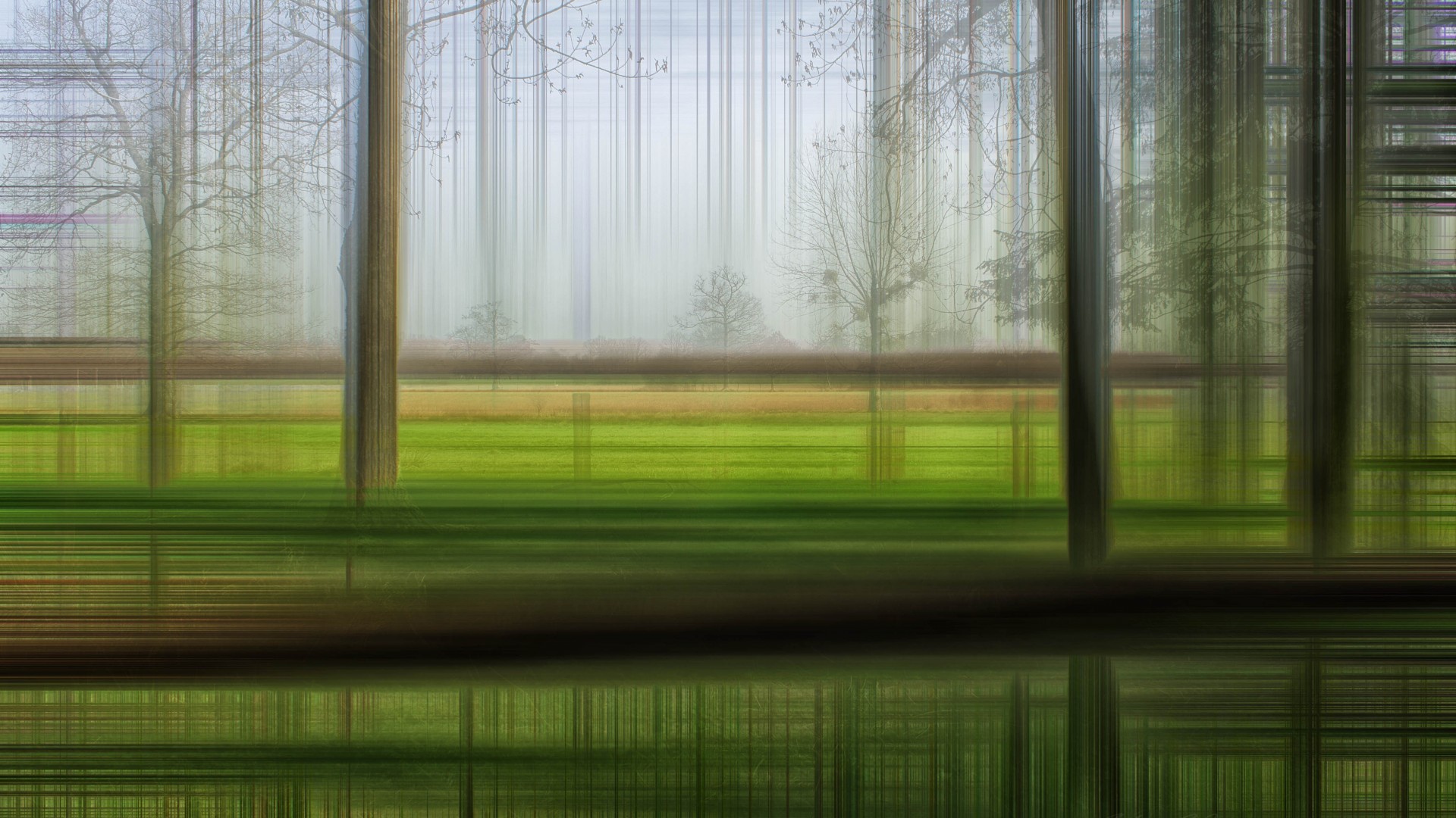 Размытый лес