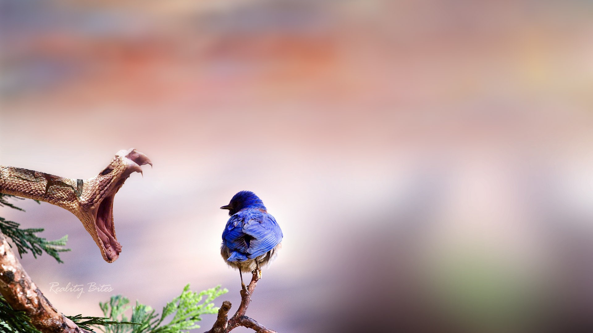 Птичка и змея