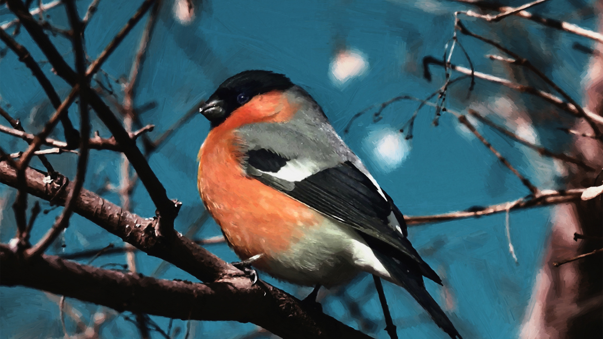 Снегирь на ветке