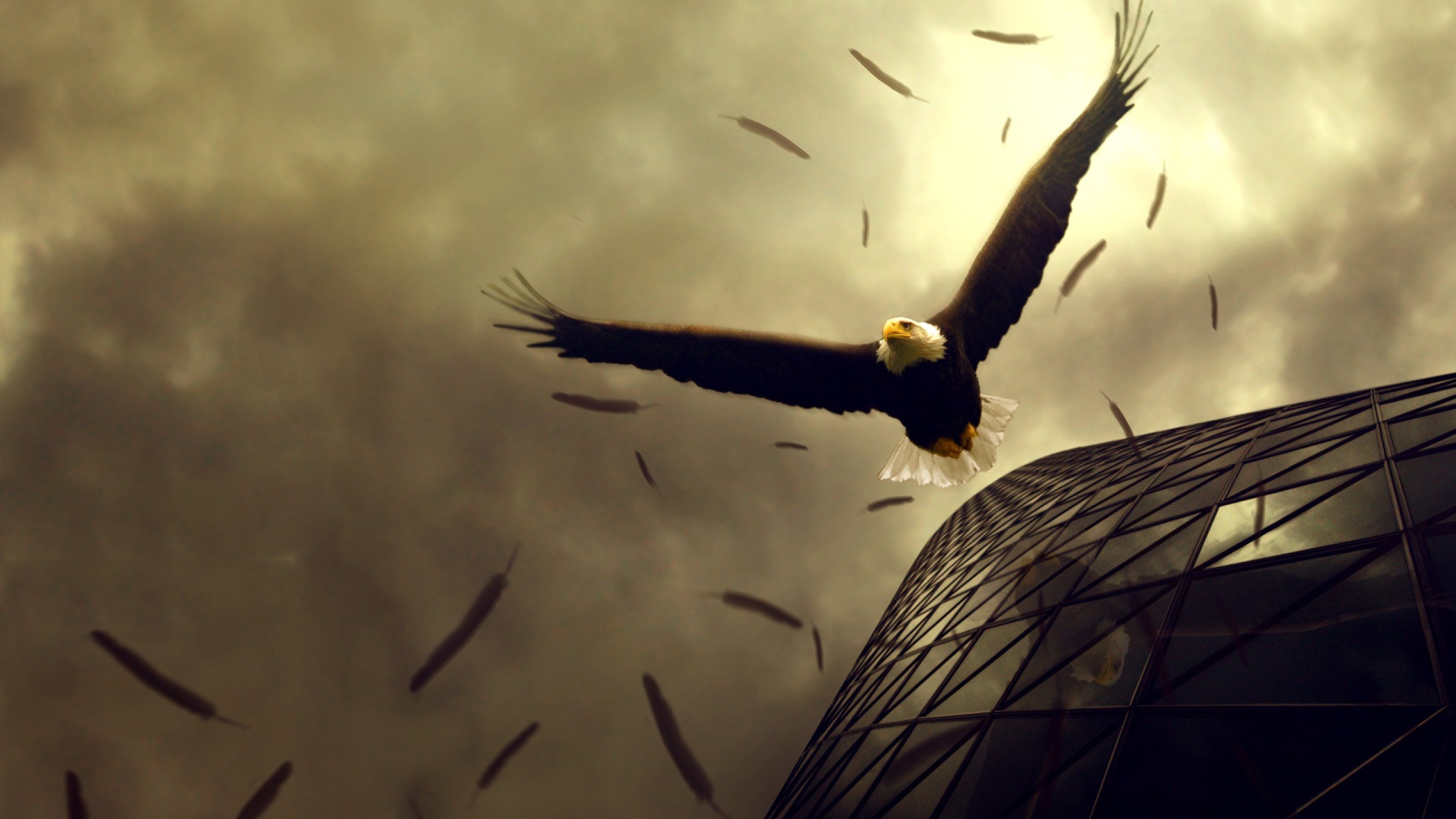 Полет орлов