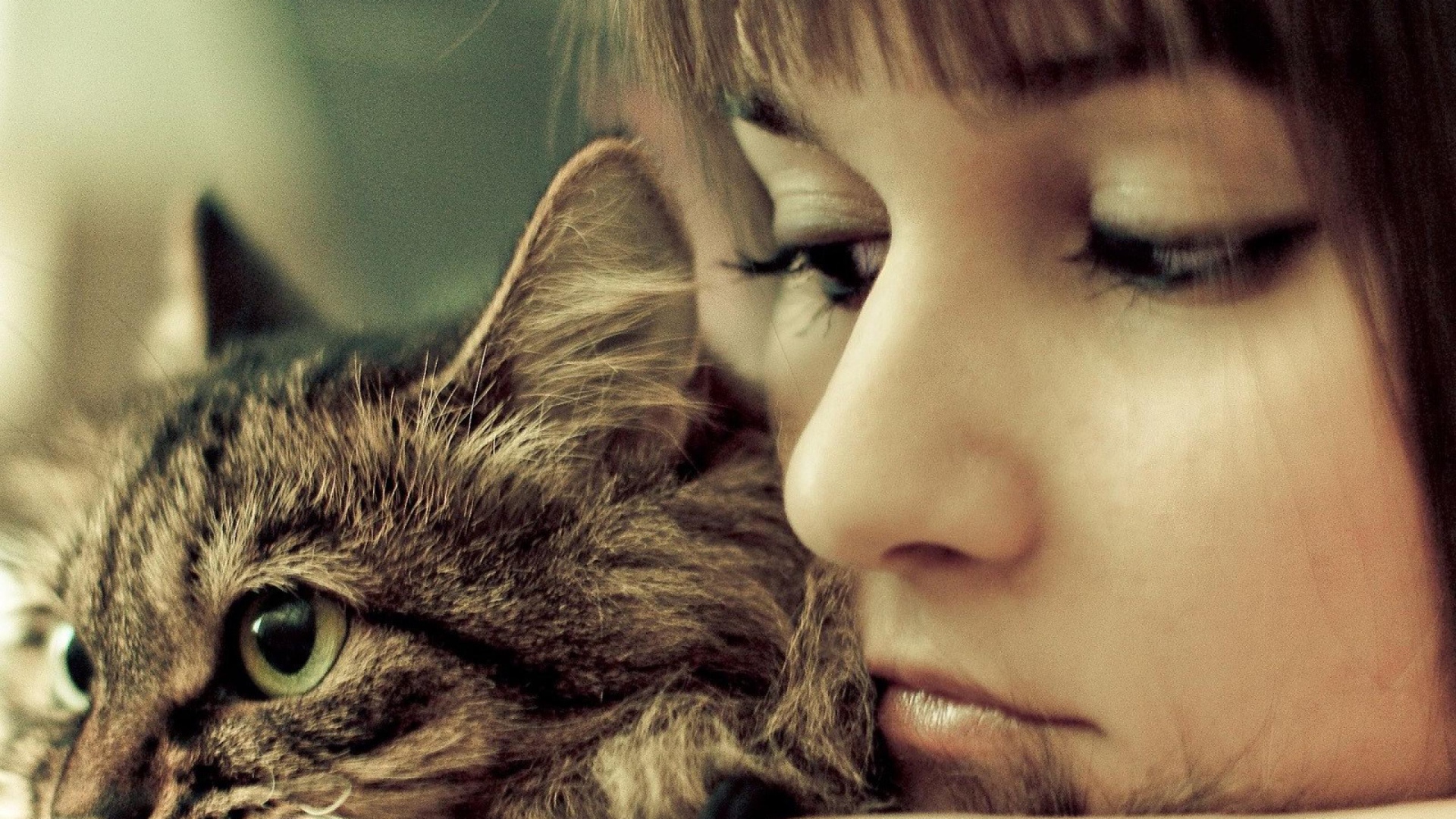 Портрет с кошкой