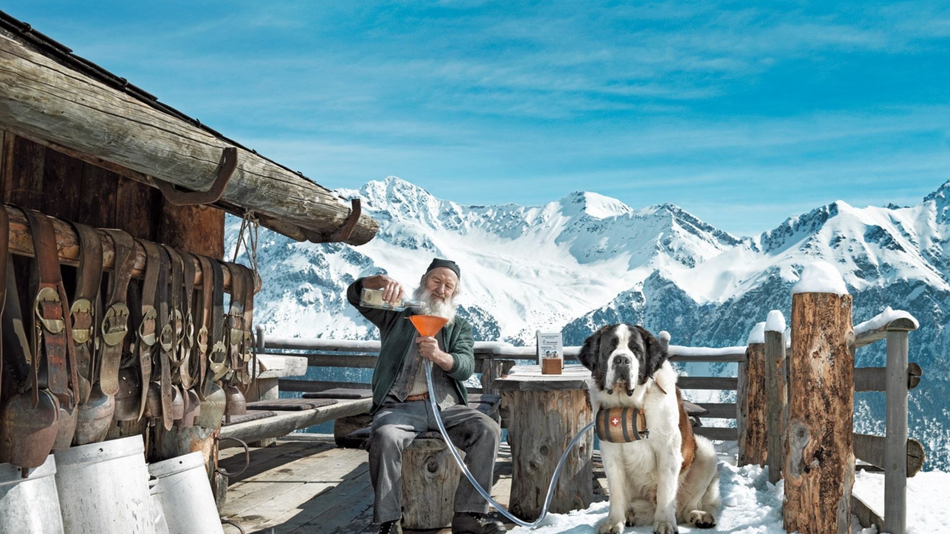 Старик с собакой сенбернаром