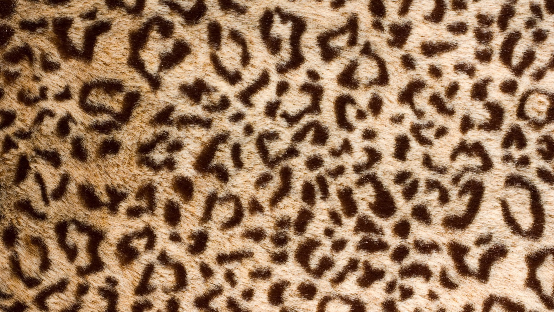 Банальный леопард