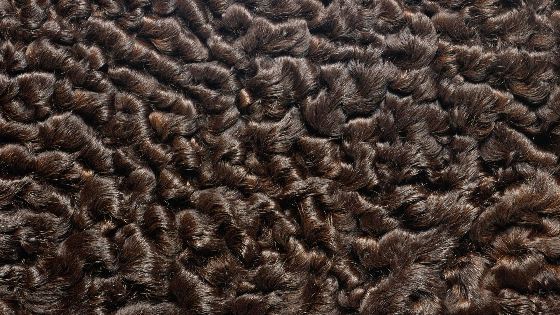 Мех каракуль