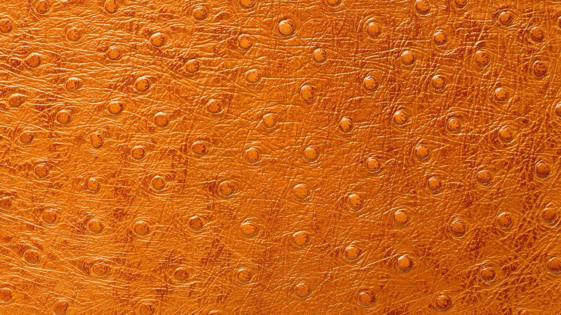 Кожа особой выделки