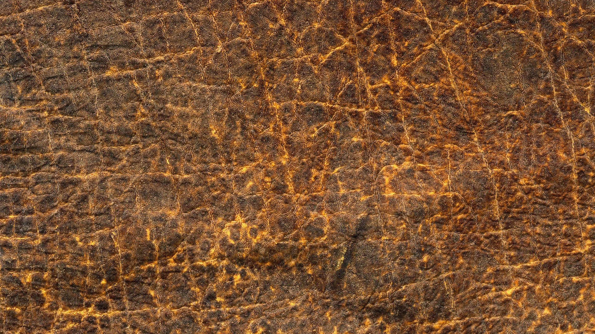 Кожа с прожилками