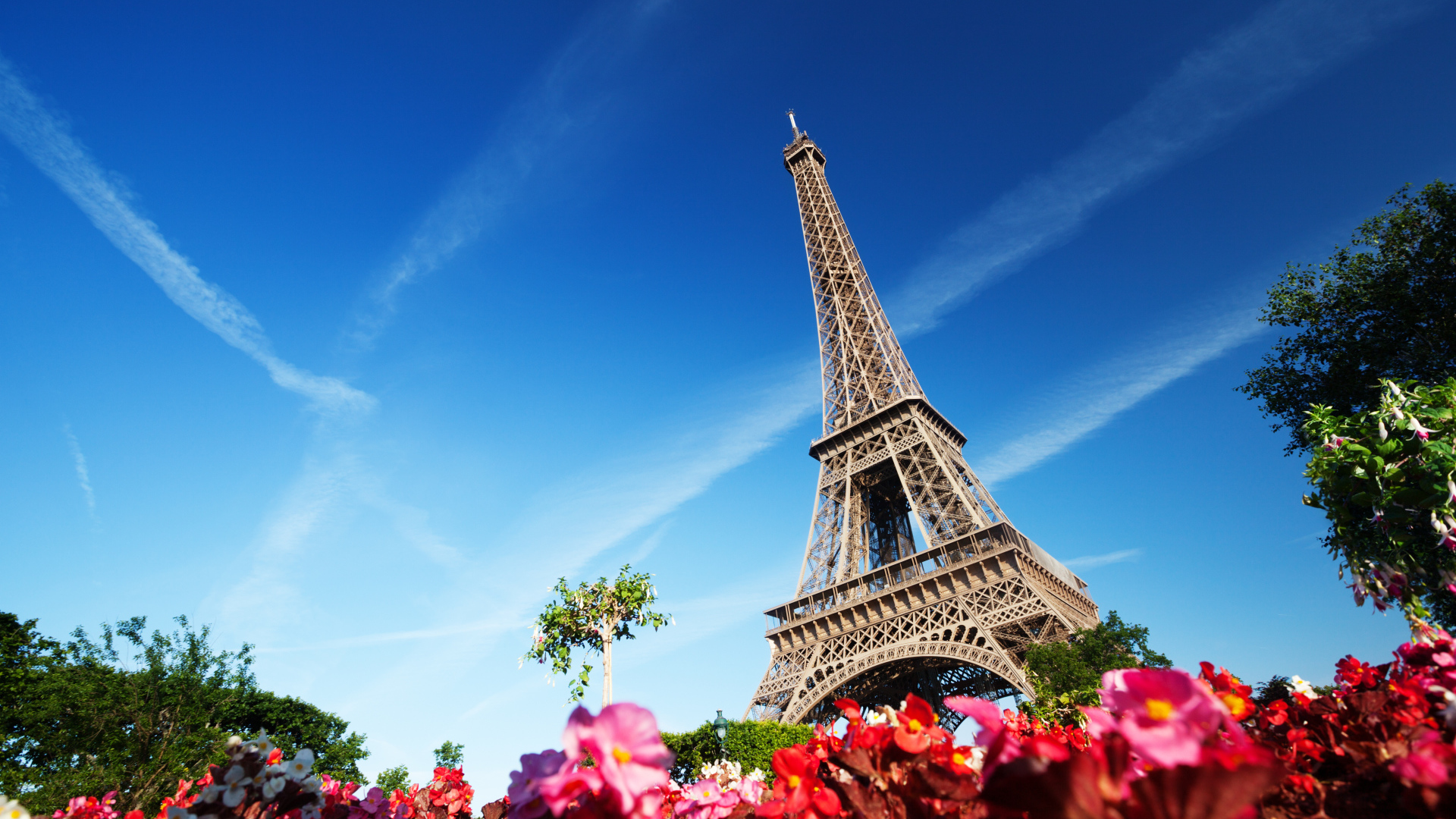 	   Flowers near the Eiffel tower