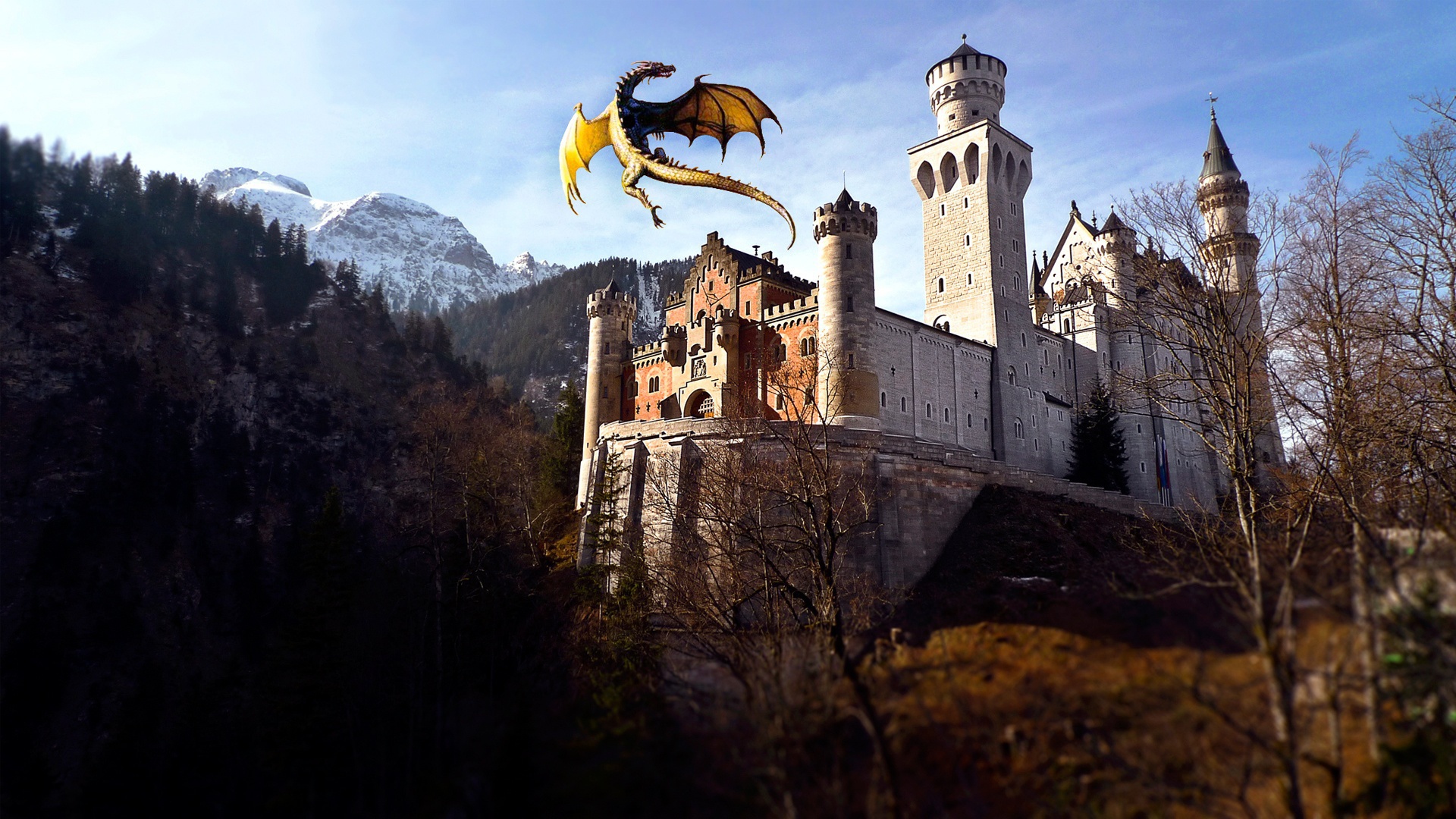 Замок дракона