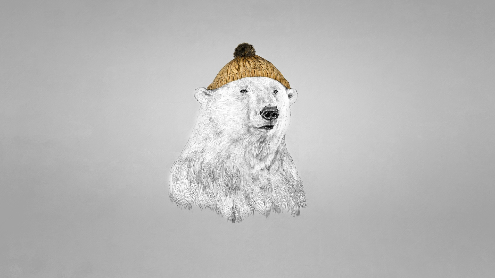 Polar bear in a cap