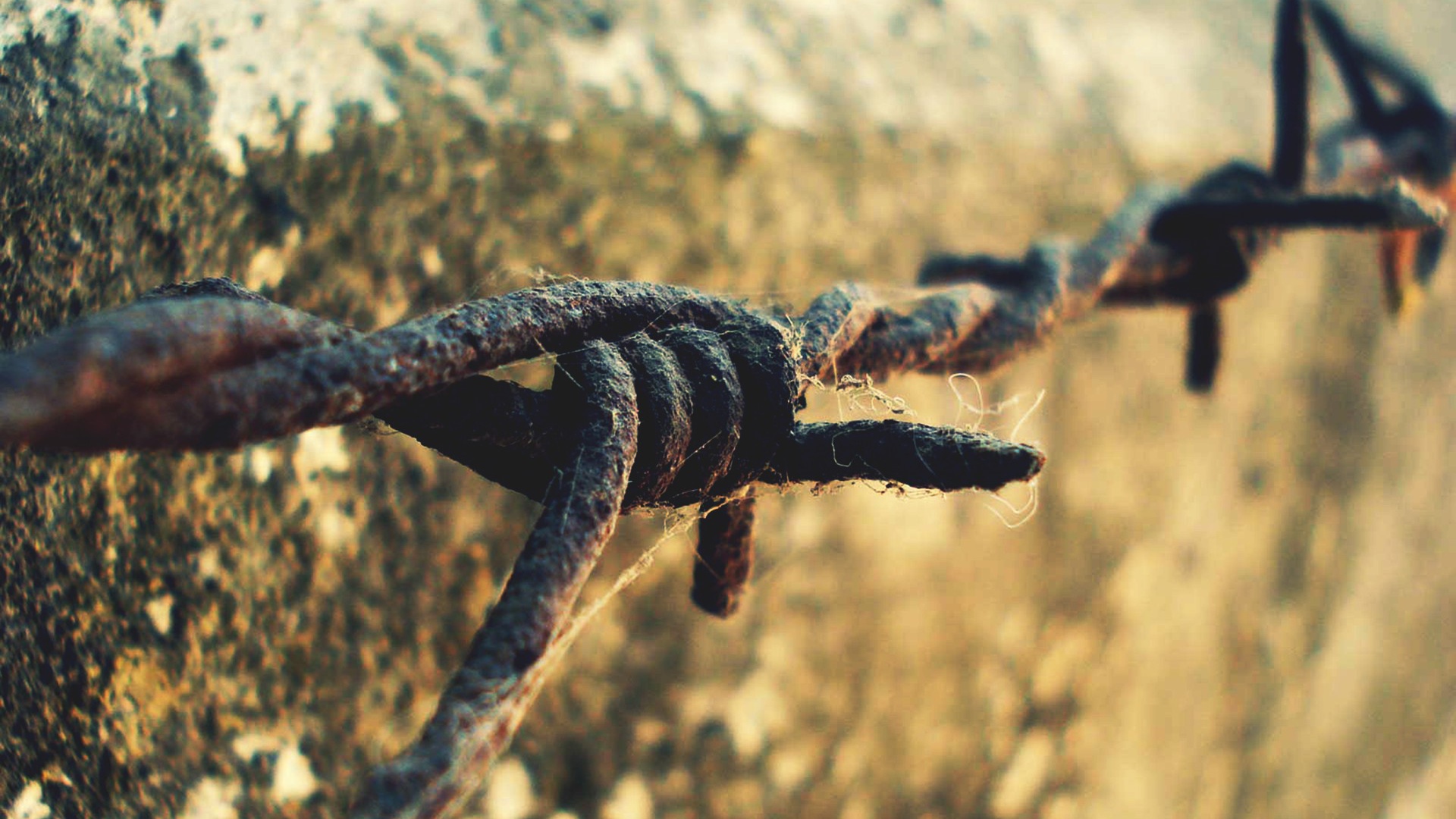 Ржавая колючая проволока