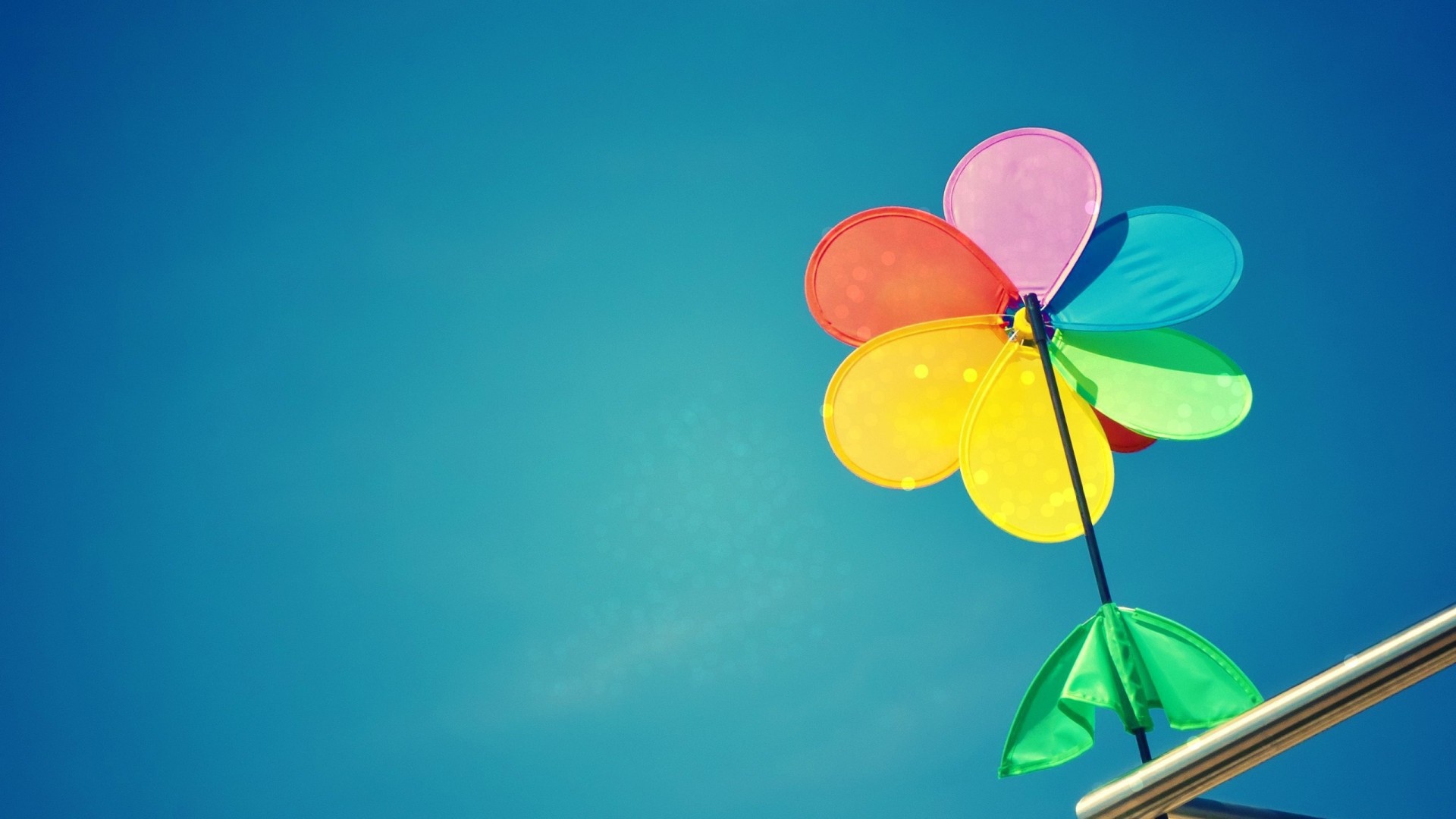 Cемицветик с листом