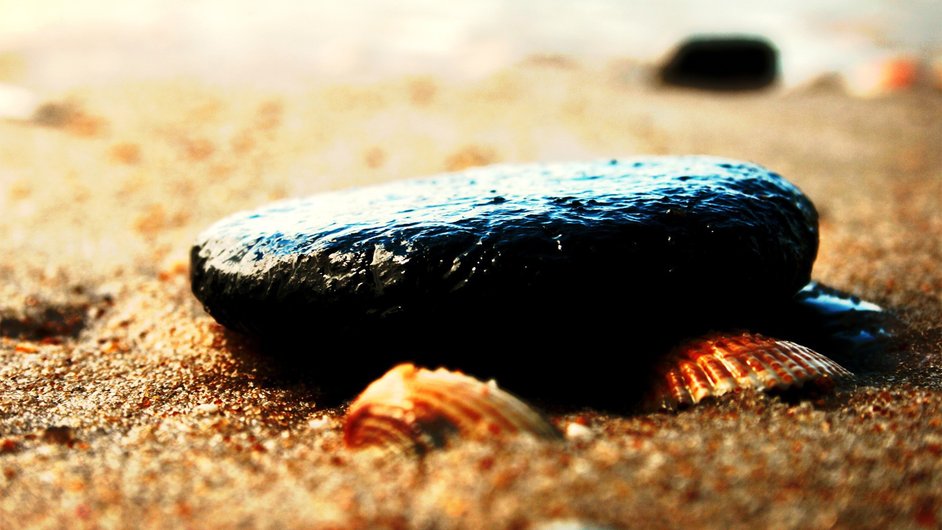 Камень и ракушки