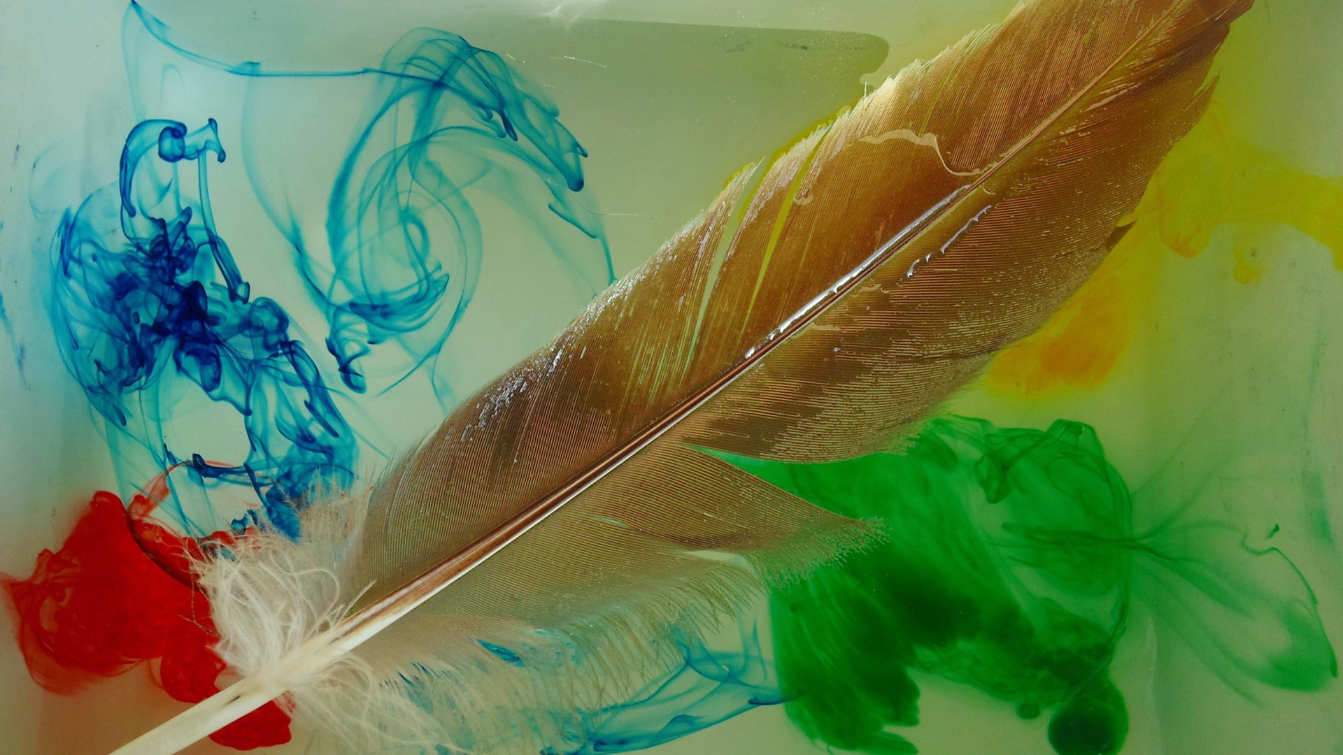 Перо и разлитые краски