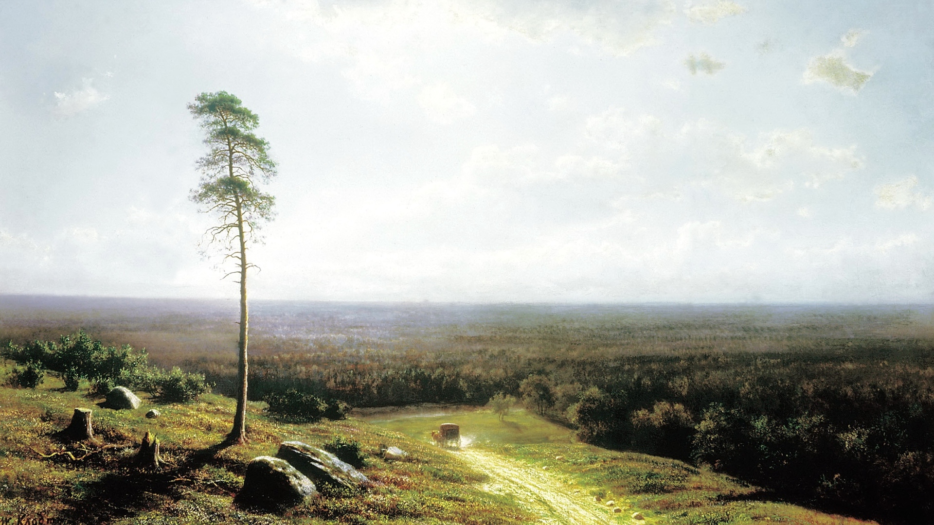 Одинокое дерево у дороги