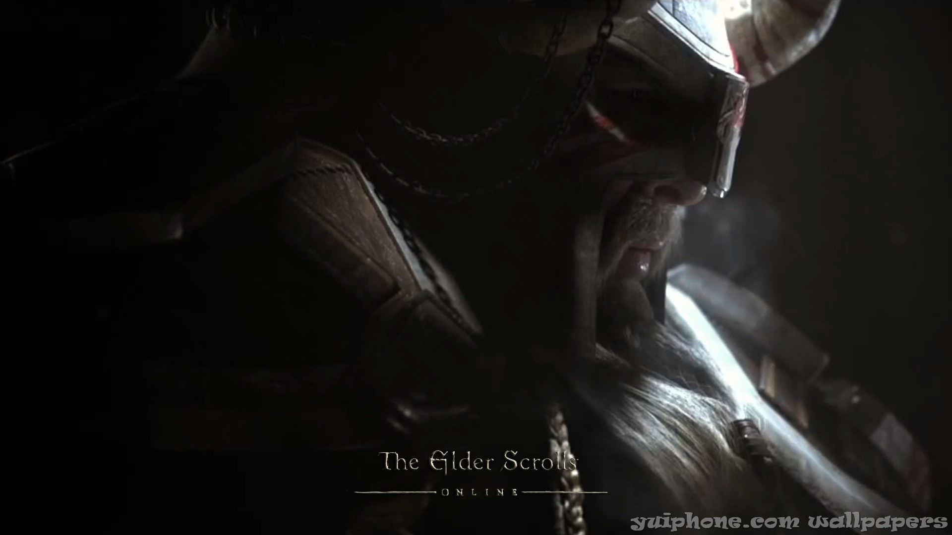 Закаленный в боях викинг