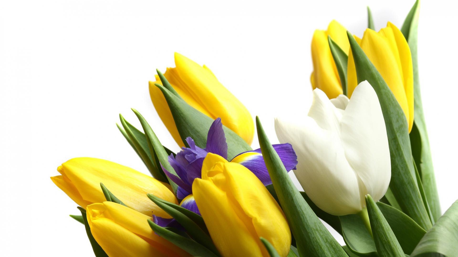 Цветы для девушки к 8 марта