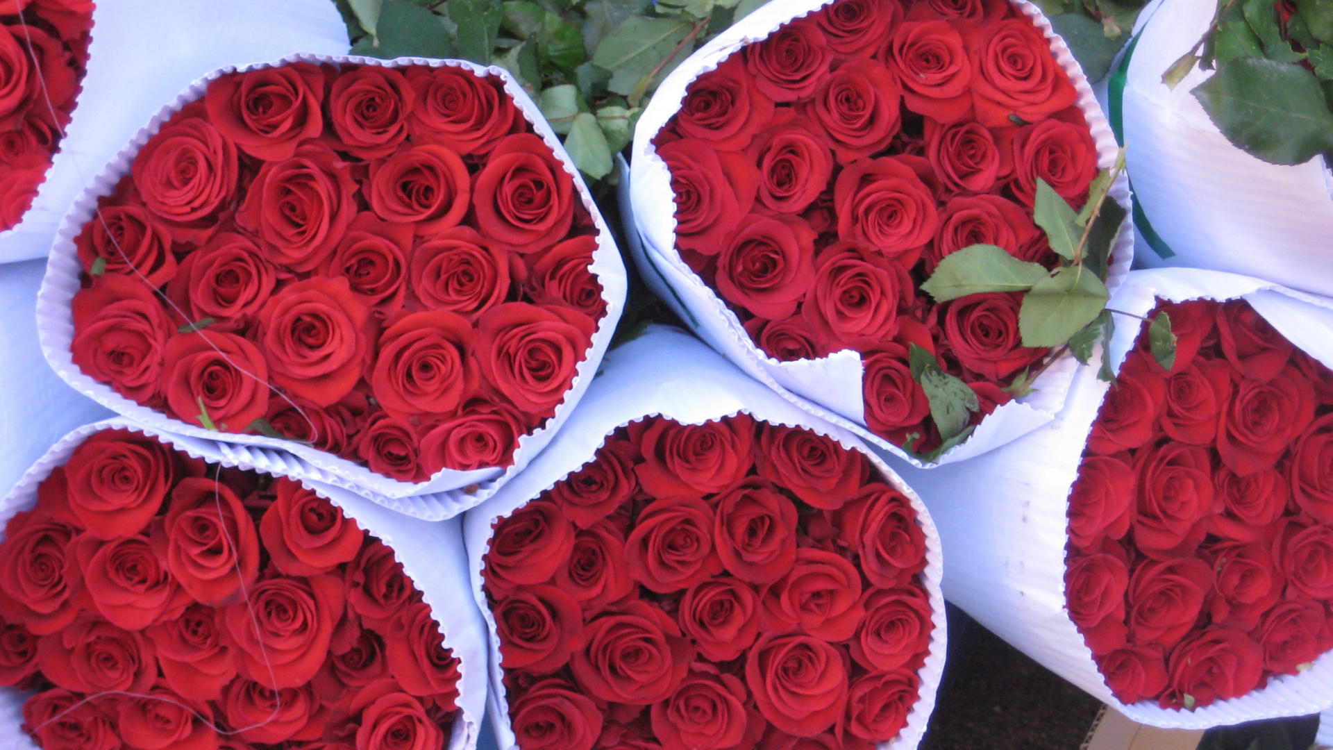 Роскошные букеты красных роз на 8 марта
