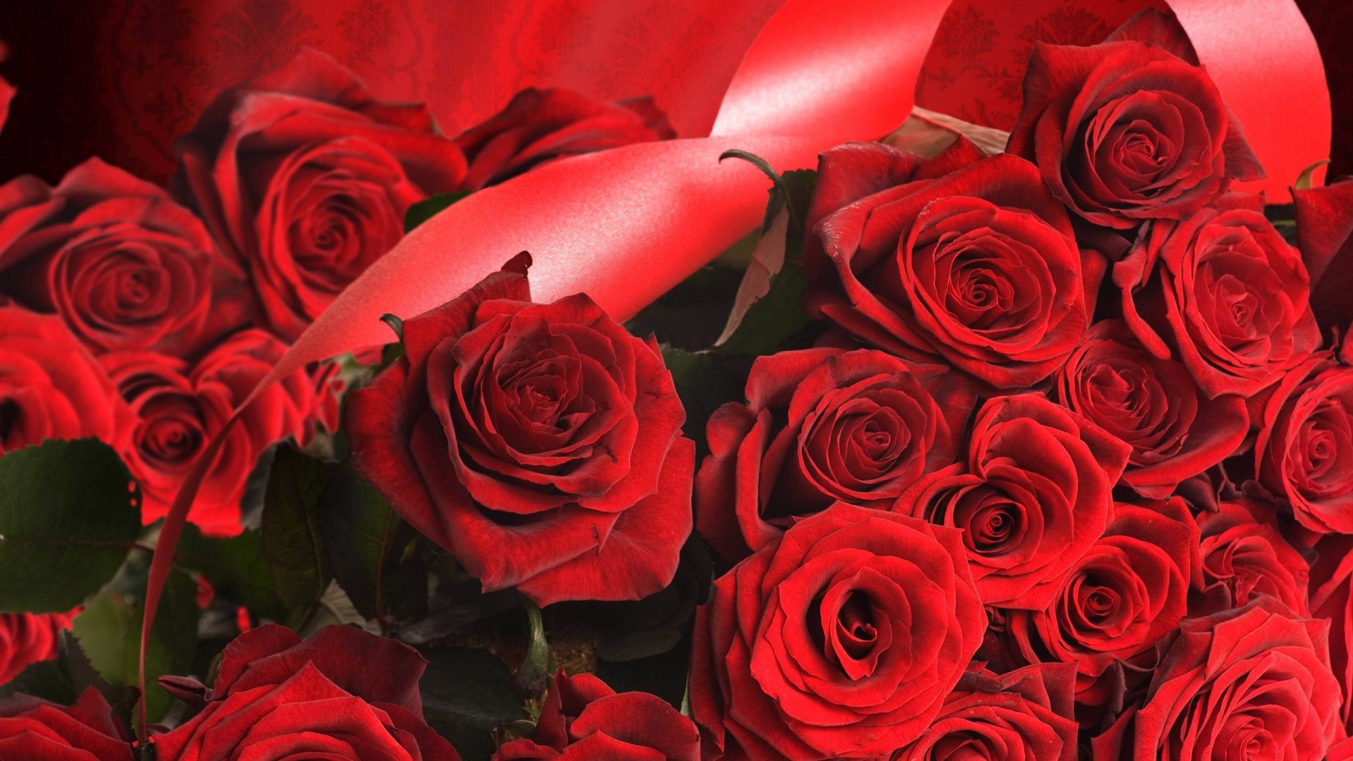 Красные розы на 8 марта с красными лентами