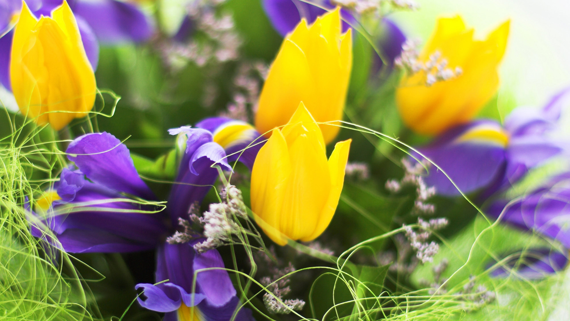 Весенние цветы на 8 марта