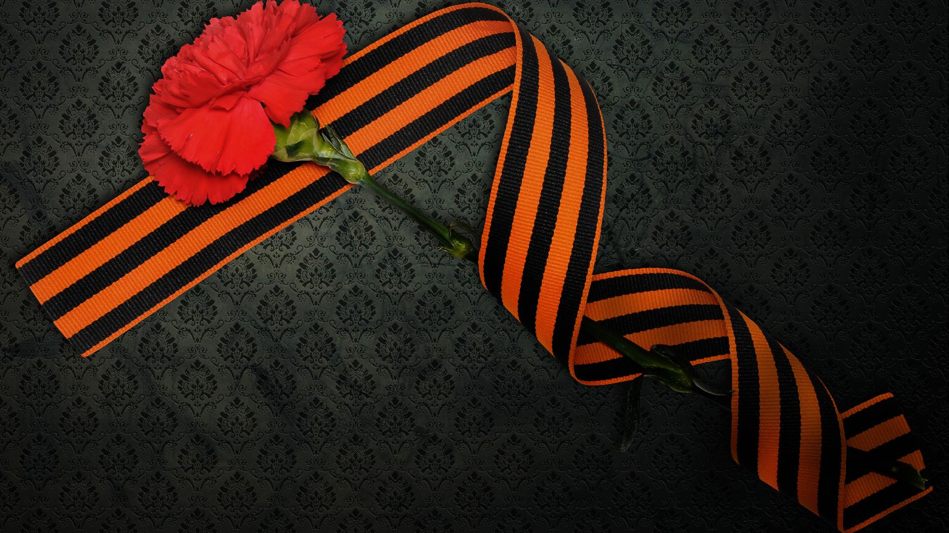 Гвоздика в День Победы 9 мая