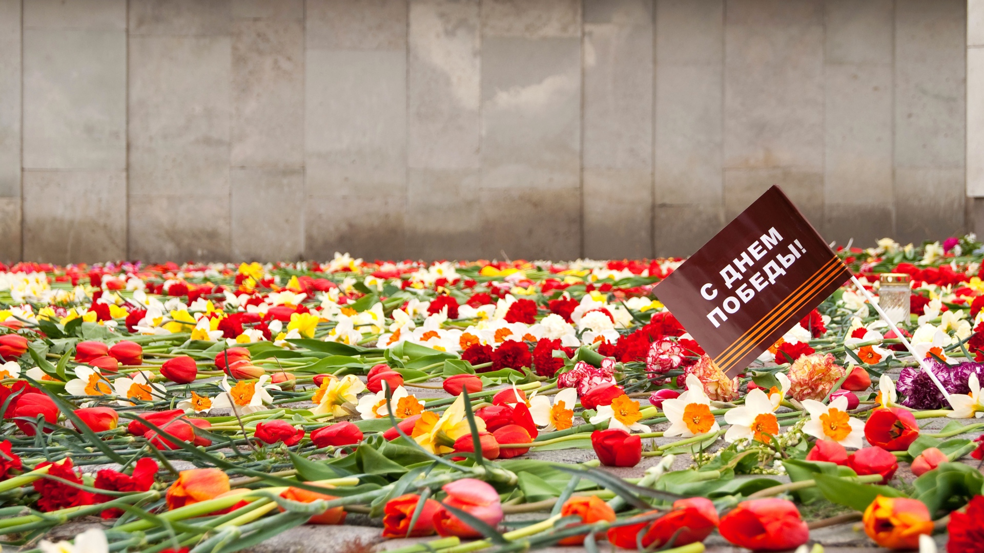 Цветы у памятника в День Победы 9 мая