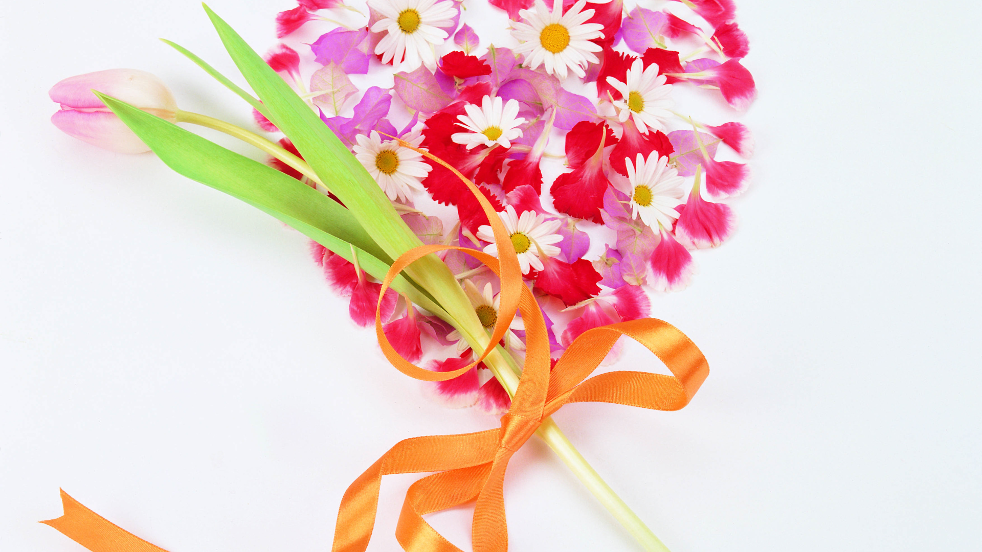 Тюльпан и сердце на День Святого Валентина 14 февраля