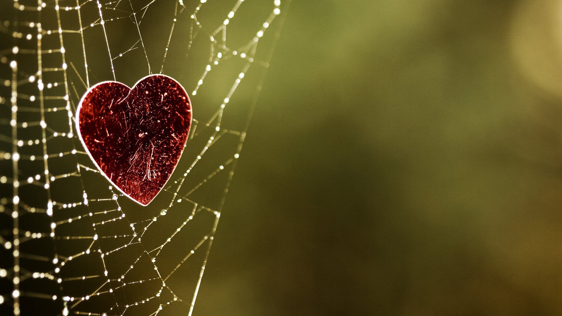 Сердечко на паутине