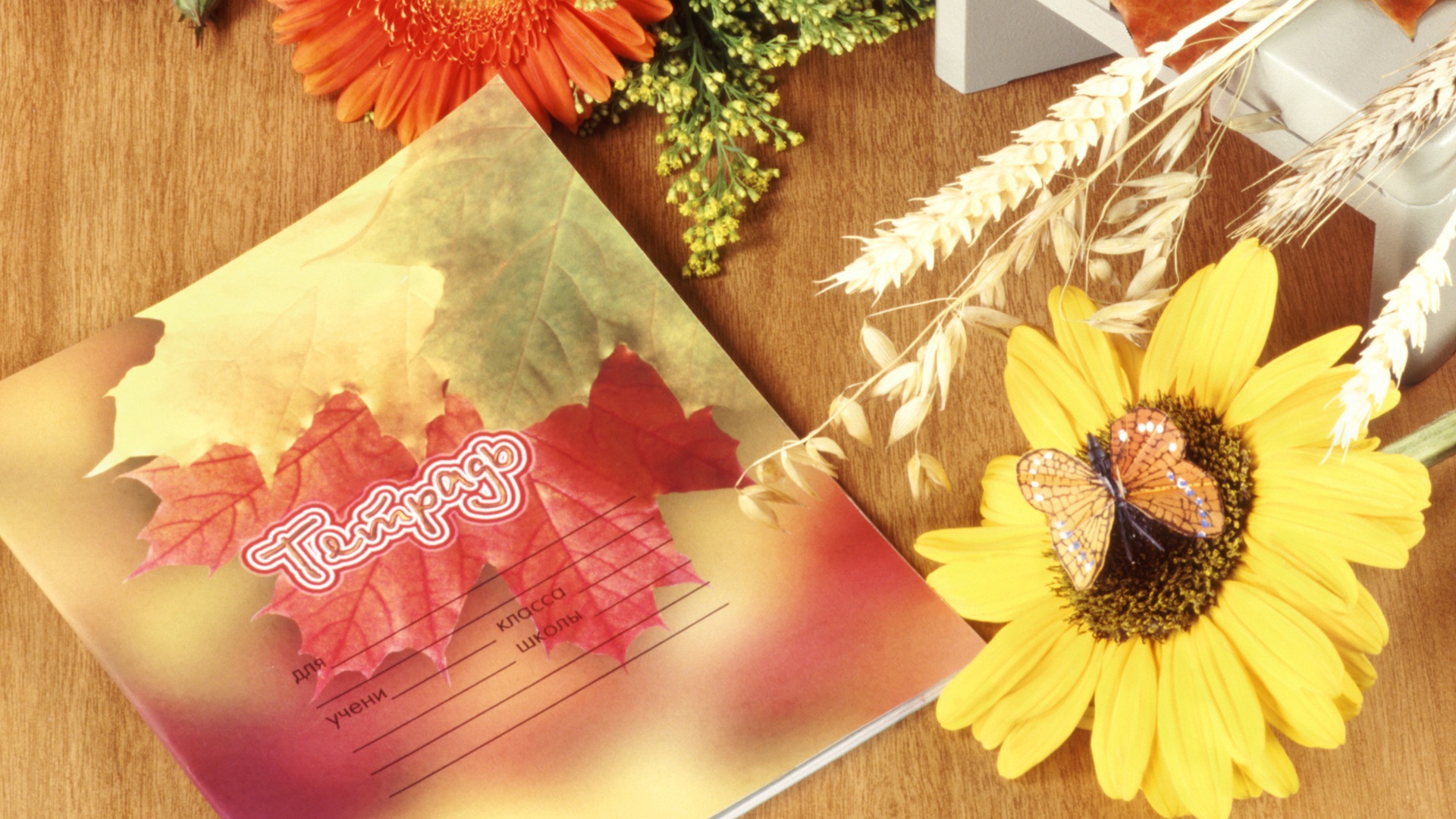 Школьная тетрадь в День знаний 1 сентября