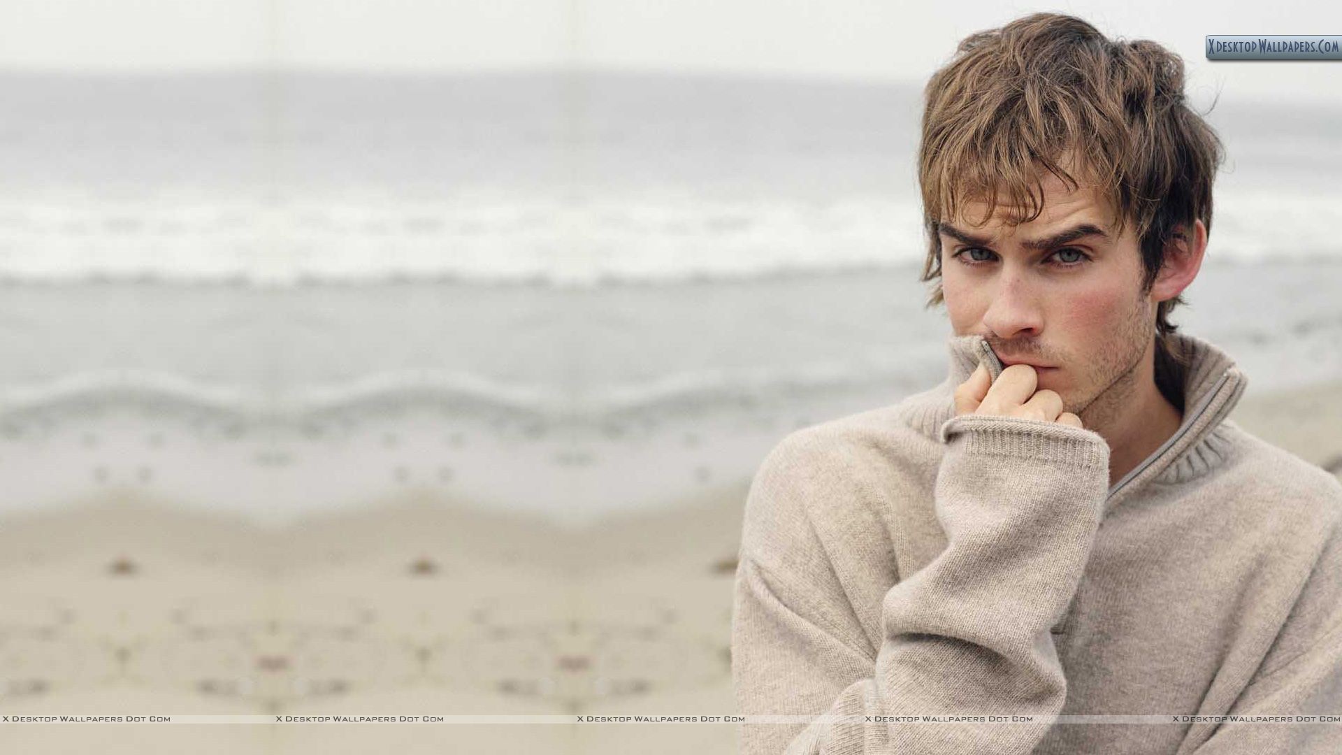 Популярный голливудская кинозвезда Йен Сомерхолдер