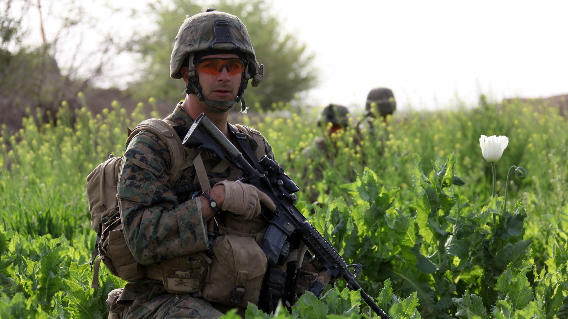 Солдат с винтовкой в траве