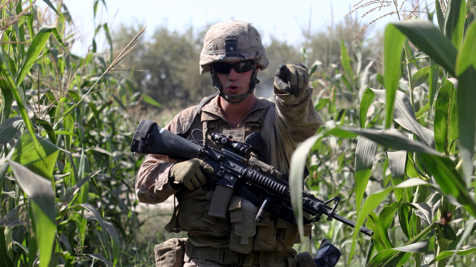 Солдат на кукурузном поле