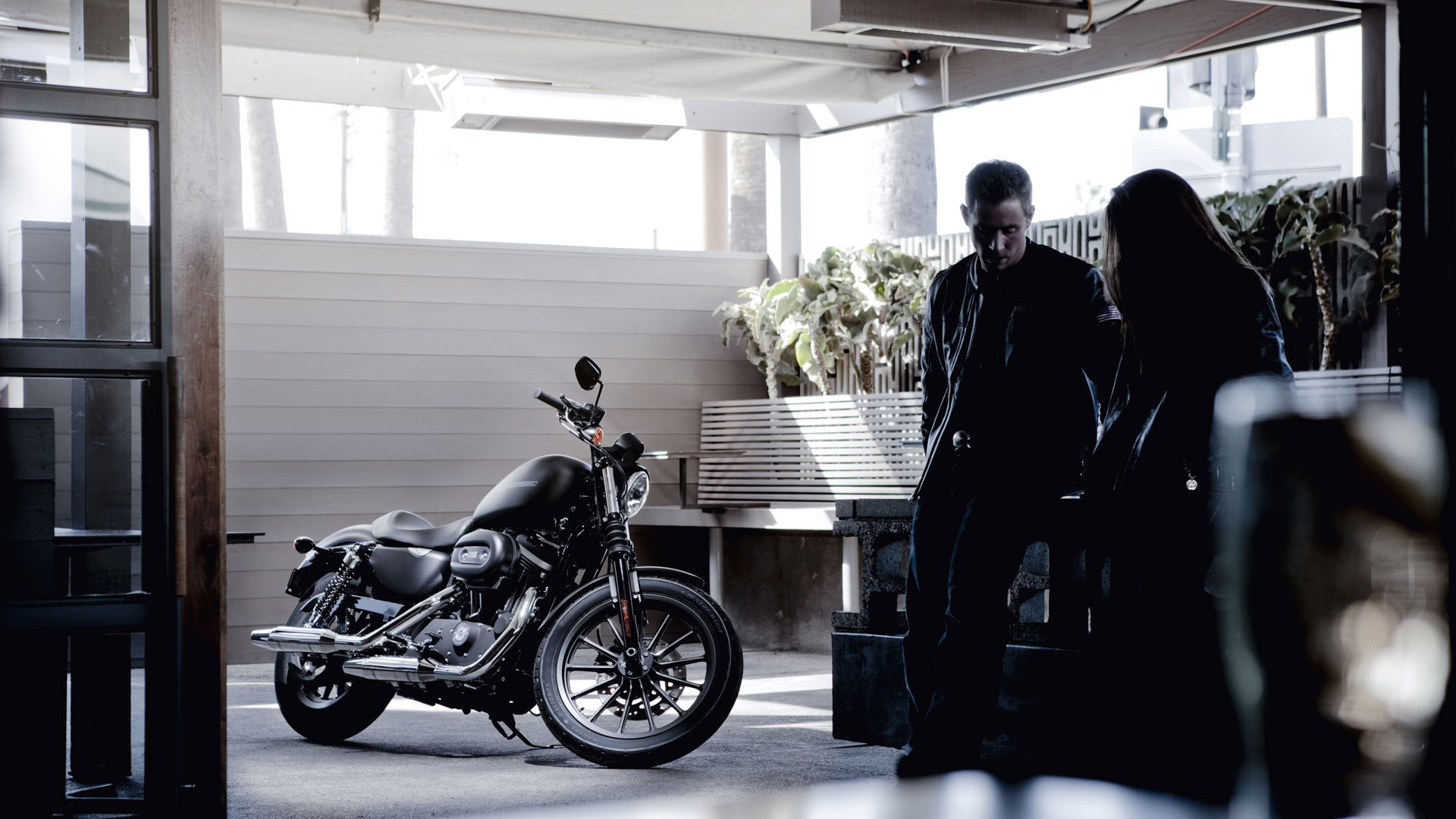 Невероятный мотоцикл Harley-Davidson XL 883N Sportster Iron