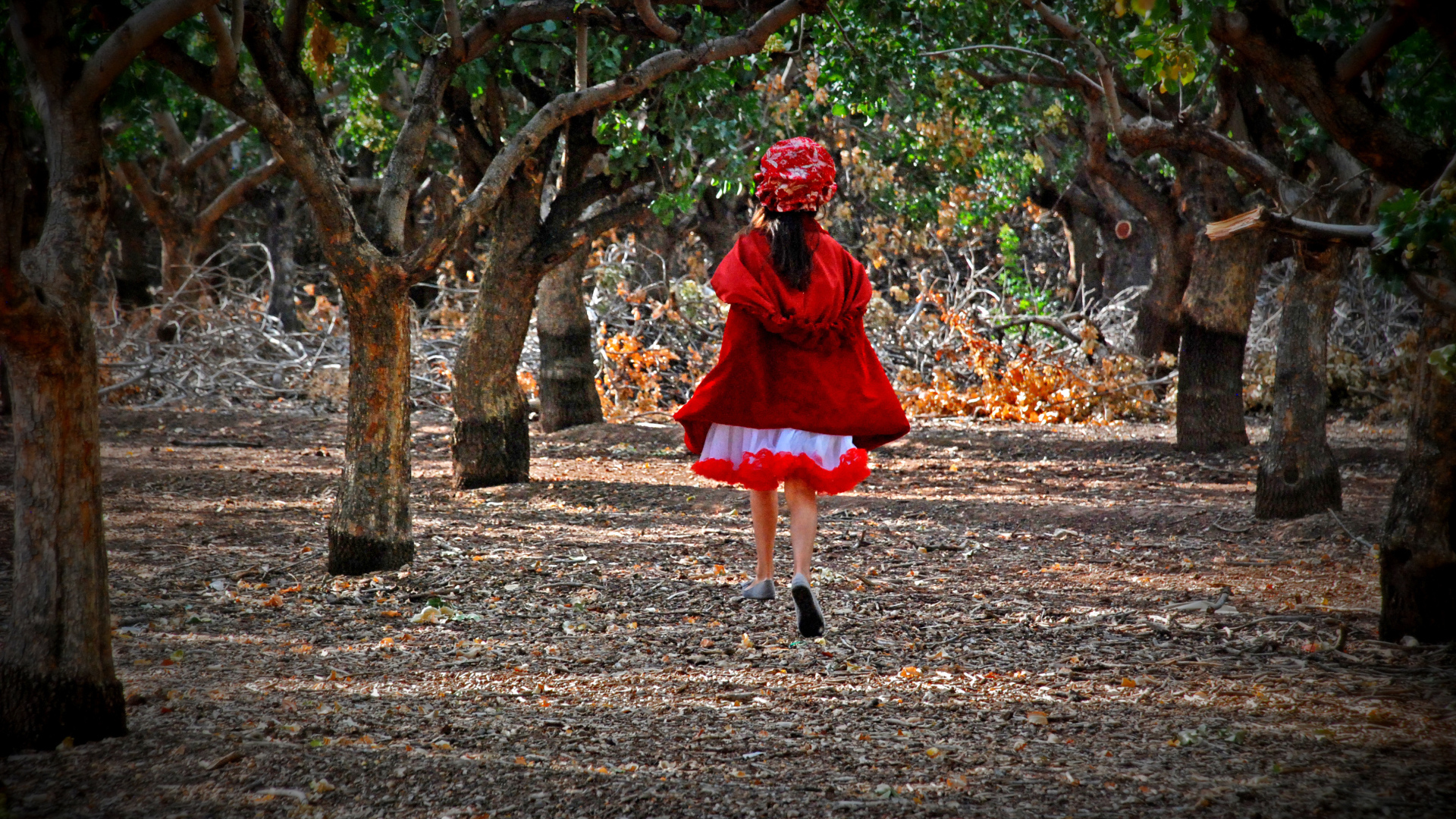 Фильм - В лес