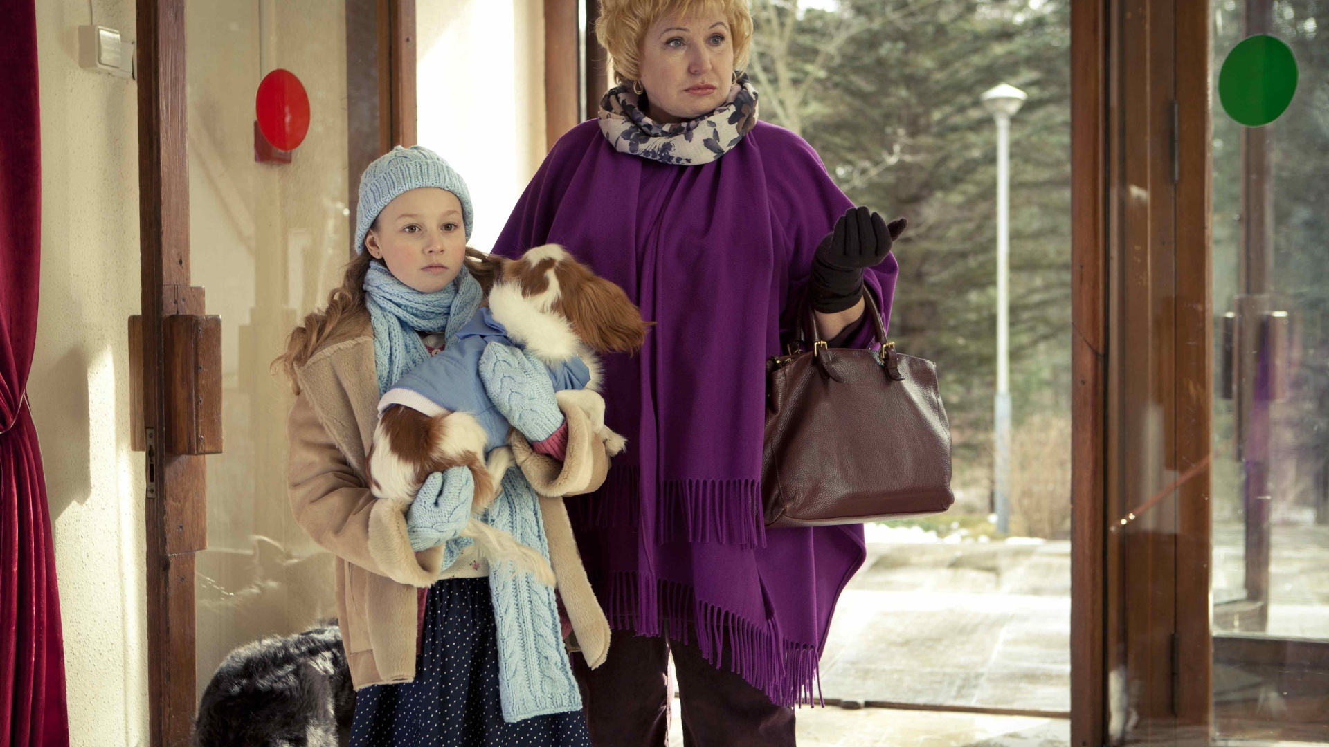 Фильм Ёлки лохматые 2014