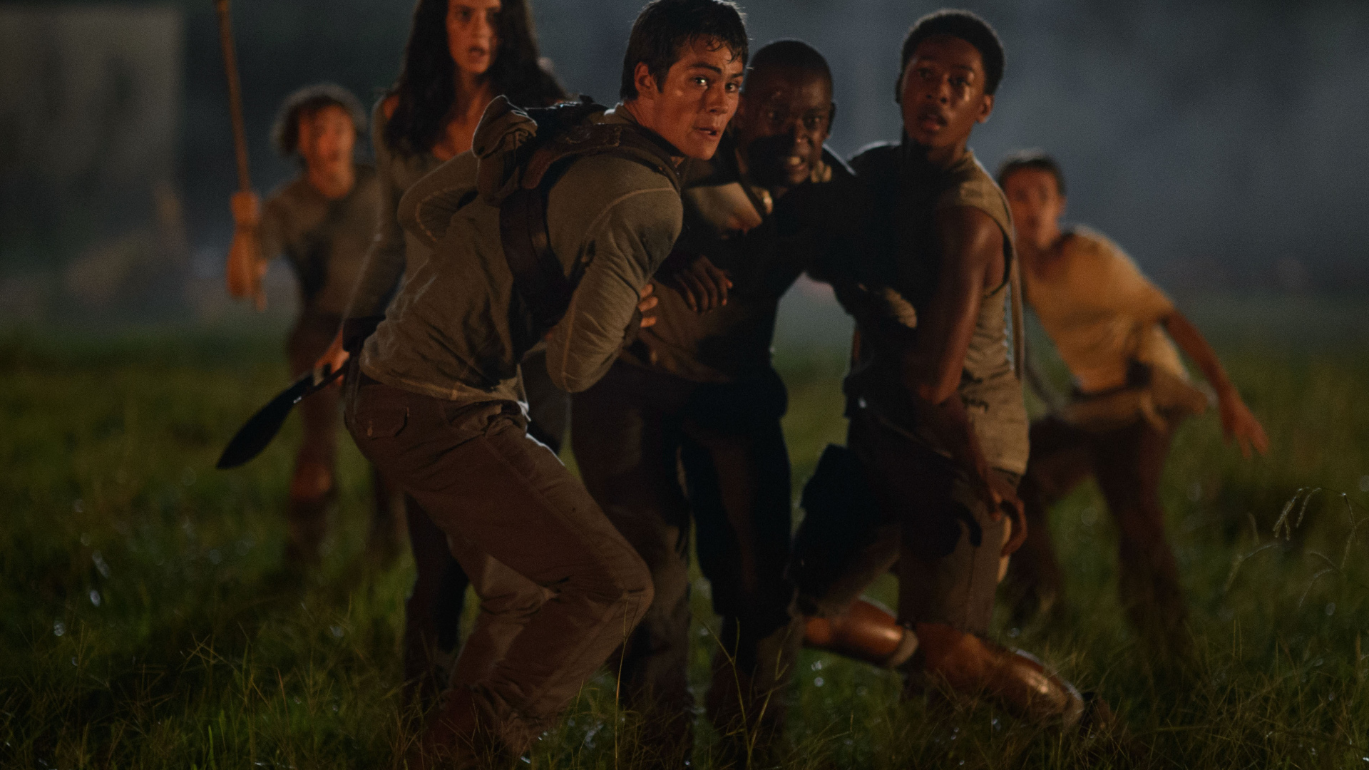 Бегущий по лабиринту на поле