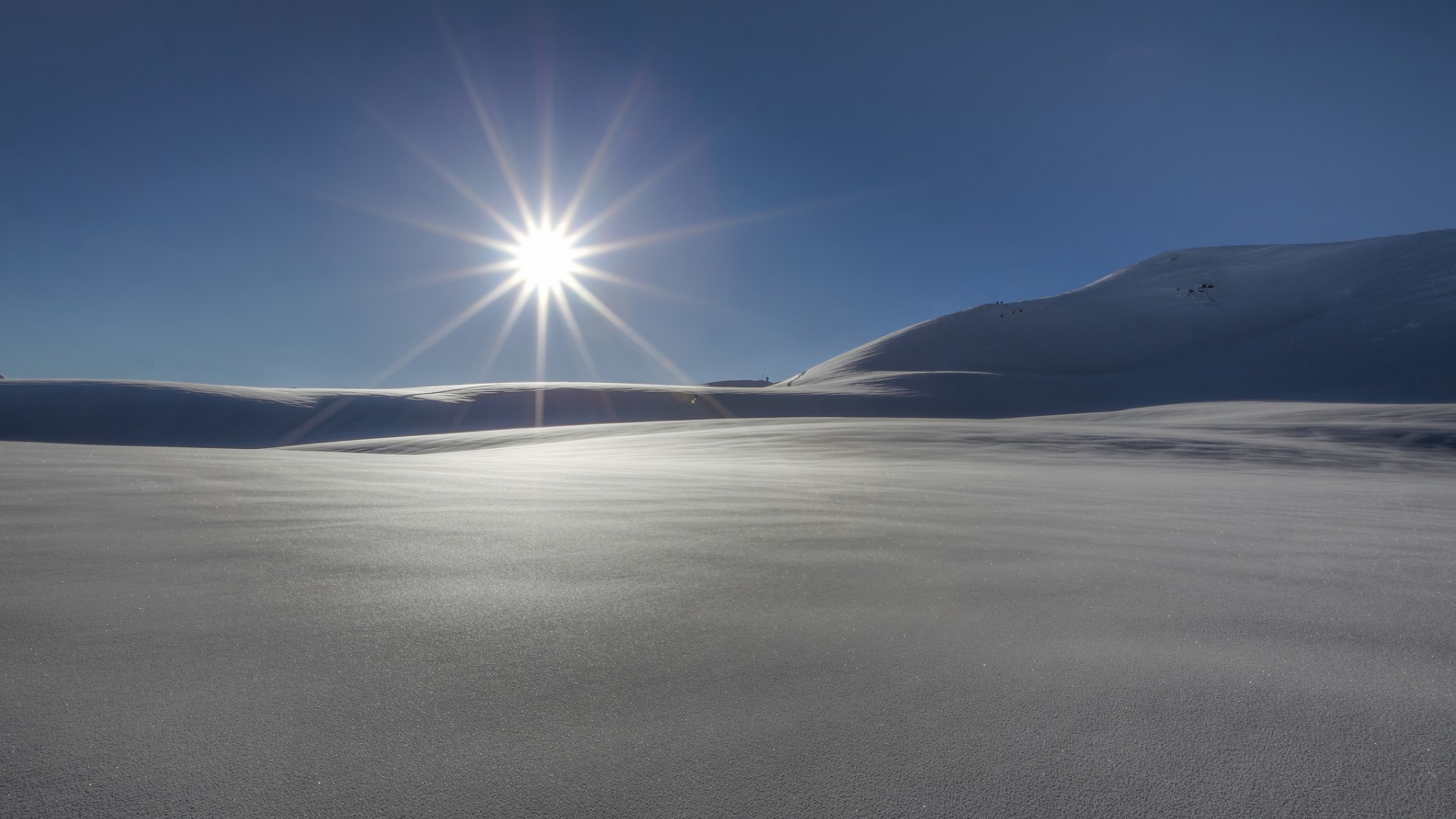 Звезда пустыни