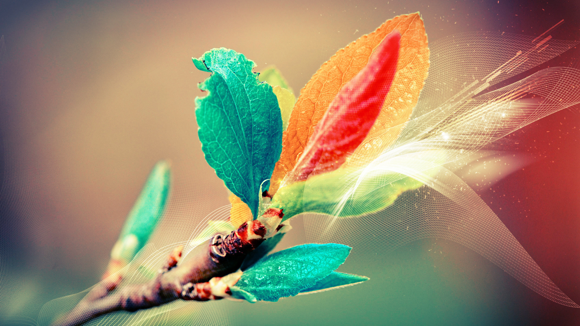 Листья в поляризованном свете